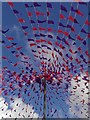 Flags in Victoria Square Truro