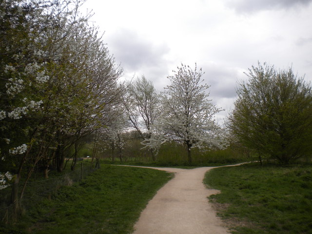 Fork in the path, Rushcliffe Country... © Richard Vince cc-by-sa/2.0 ...