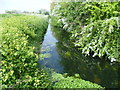 Wade Marsh Stream