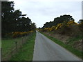 Single track road, Lednabirichin