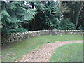 St Aldhelm, Lytchett Heath: church path