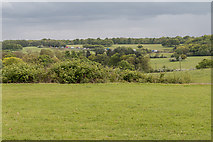 TL4201 : Farmland, Copped Hall, Essex by Christine Matthews