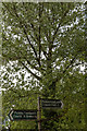 Signpost, Copped Hall, Essex