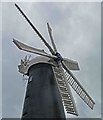 Waltham windmill sails