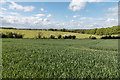 TL4301 : Farmland near Copped Hall, Essex by Christine Matthews