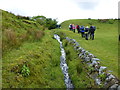 Buck Clough at Dyneley Farm