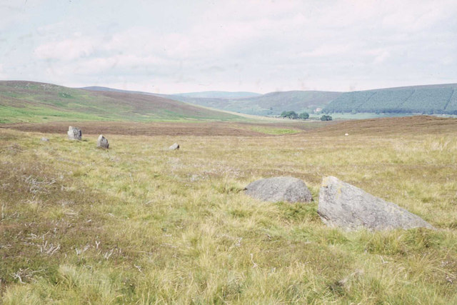 Standing stones on southern slopes of Long Goat