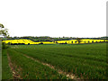 TM3470 : Fields looking towards Lodge Farm by Geographer