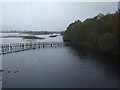 Loch Fleet shore