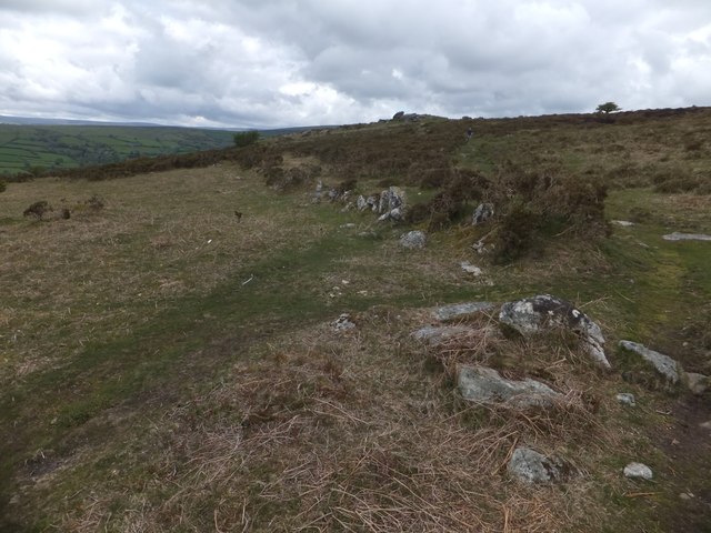 Part of a field system on Blackslade Down