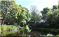 Rochdale Canal, Belfield Bridge