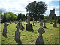 Sheep-grazing in Broadwindsor Churchyard