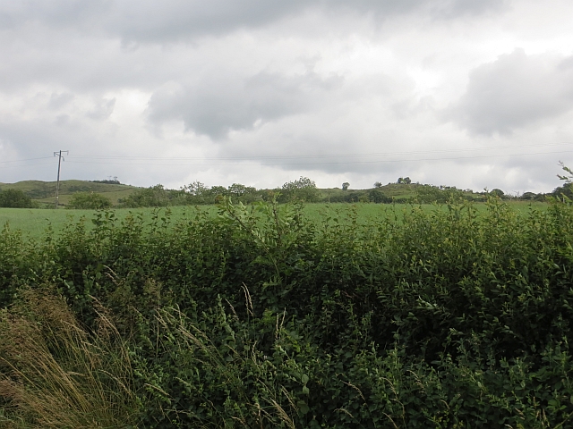 Hedge and farmland, Calhame © Richard Webb :: Geograph Ireland