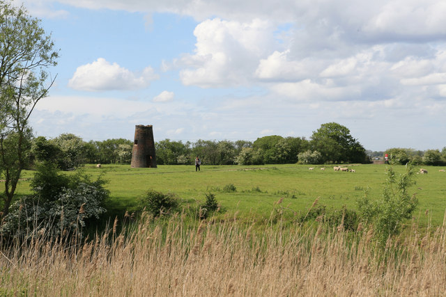 Reedham Marshes - North Mill 