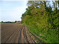 Field edge seen from the Wantsum Walk