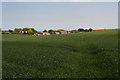 Footpath through the crop to Haugh