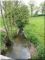 The Longnor Brook - downstream