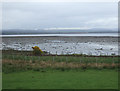 NH7584 : Grazing and railway, Dornoch Firth by JThomas