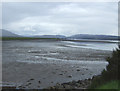 NH7484 : Dornoch Firth sands, low tide by JThomas
