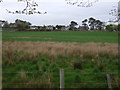 Farmland near Dornoch