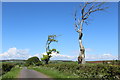 Minor road east of Drumley Farm