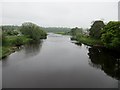 River Ribble from Ribchester Bridge