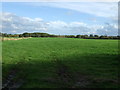 Farmland east of Carr Lane