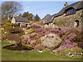 Gardens at Ffald-y-Brenin Christian retreat centre, Cwm Gwaun