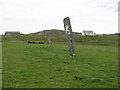 NR3694 : Standing stones at Kilchattan by M J Richardson