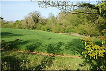 SP5906 : Corner of a field by Warren Wood by Bill Boaden