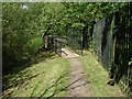 Footbridge by the River Colne