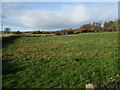 Farmland, Udny Bridge