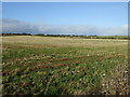 Farmland near Smiddyhill