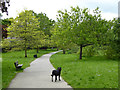 Oakwood Park in the Spring, London N14