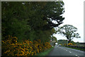 A949 heading east near Camore