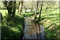 Throwleigh: Blackaton Brook