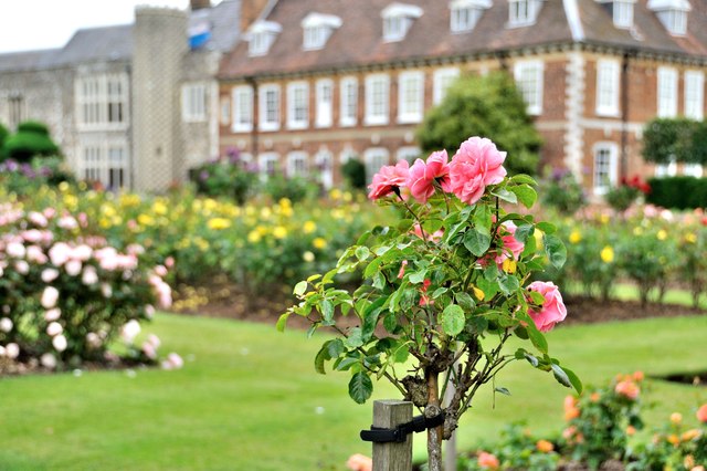 The Rose Garden - Hall Place, Bexley