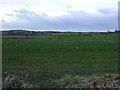 Farmland near Lingdale