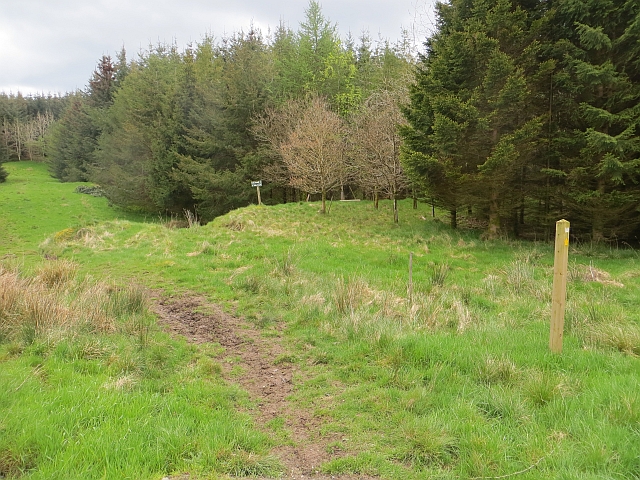 Ashkirk Loch, Scottish Borders - area information, map, walks and more