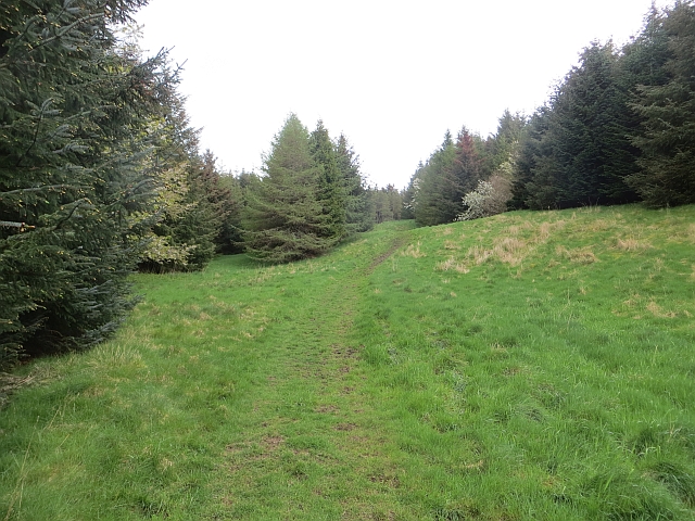 Ashkirk Loch, Scottish Borders - area information, map, walks and more