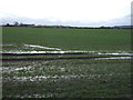 Crop field off Stanghow Road