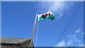 SM7327 : The Wales National Flag blowing in the wind at Llaethdy youth hostel by Jeremy Bolwell
