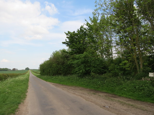 Minor  road  to  Holme  on  the  Wolds