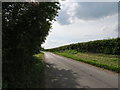 East  Street  toward  Holme  on  the  Wolds