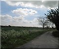 Blue Stocking Lane (Track) bridleway