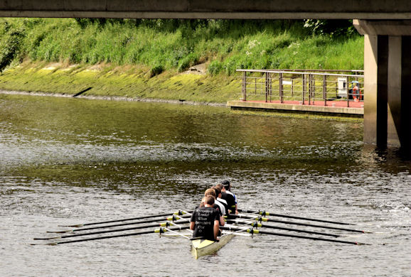 Rowing, River Lagan, Stranmillis, Belfast - May 2014(1)