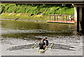 J3371 : Rowing, River Lagan, Stranmillis, Belfast - May 2014(1) by Albert Bridge