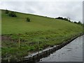 Rochdale Canal bank, south of bridge 52