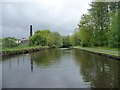 Rochdale Canal, south-west of Bridge 61