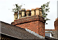 Chimney and chimney pots, Stranmillis, Belfast (May 2014)